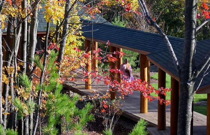 Fall colors at the Forest Refuge.